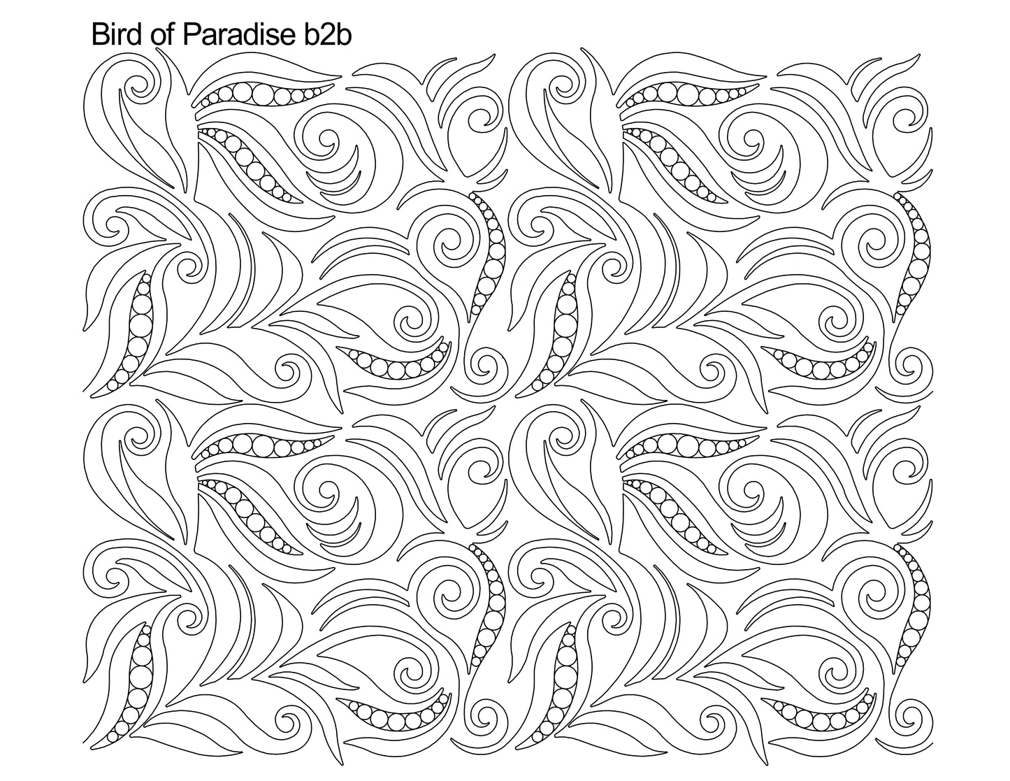 Bird of Paradise b2b