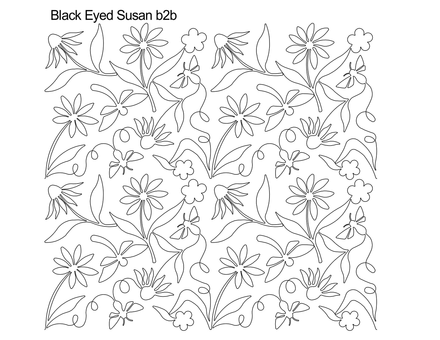 Black Eyed Susan b2b