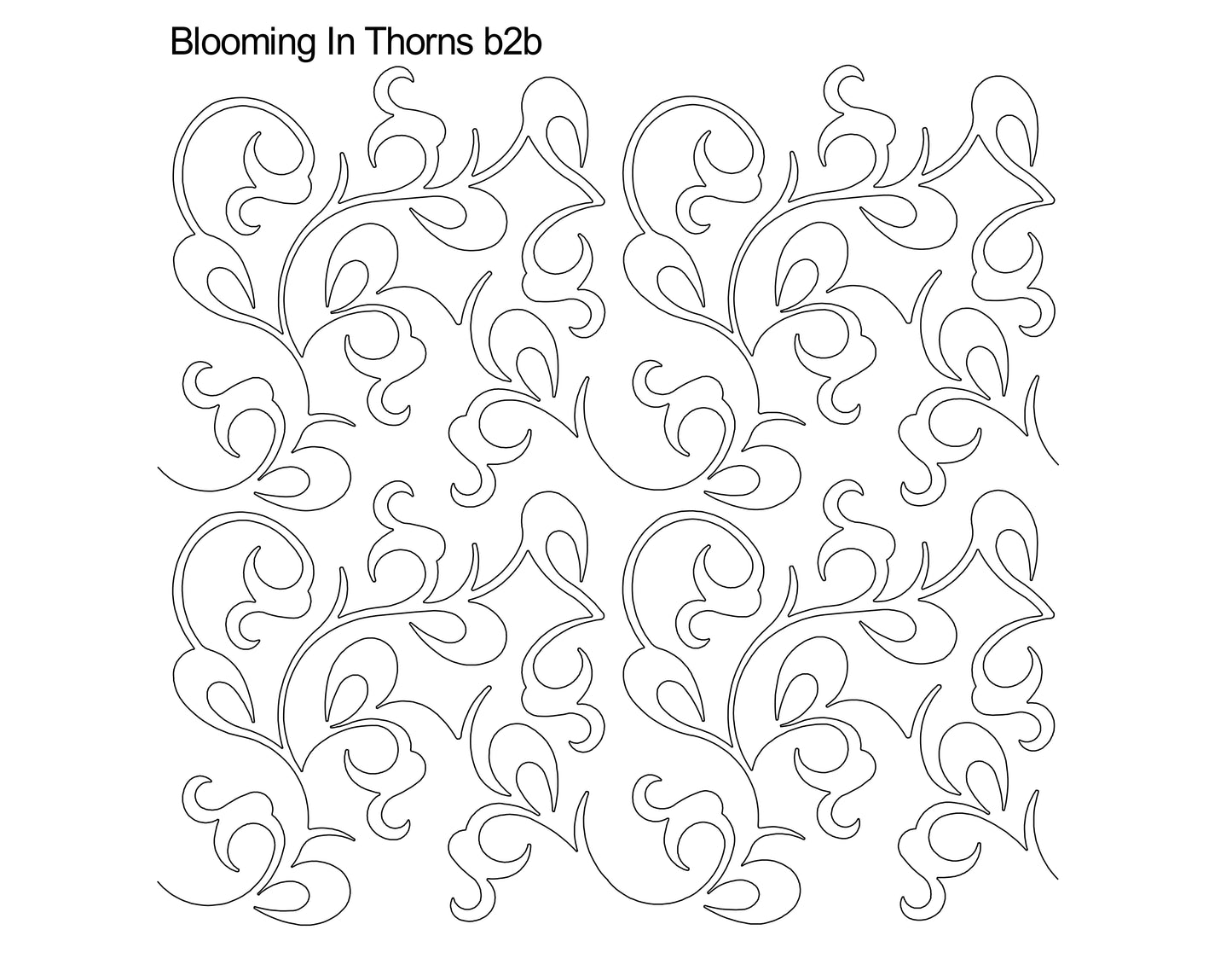 Blooming in Thorns b2b