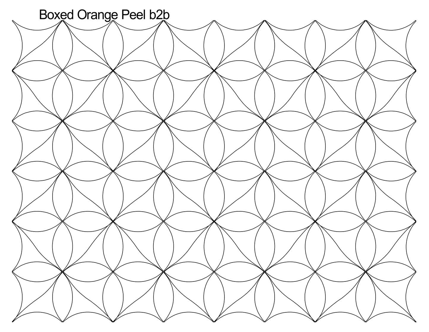 Boxed Orange Peel b2b