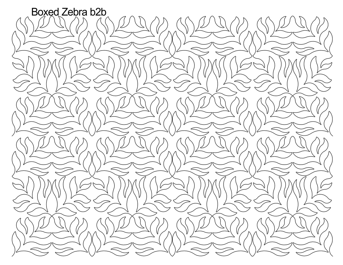 Boxed Zebra b2b