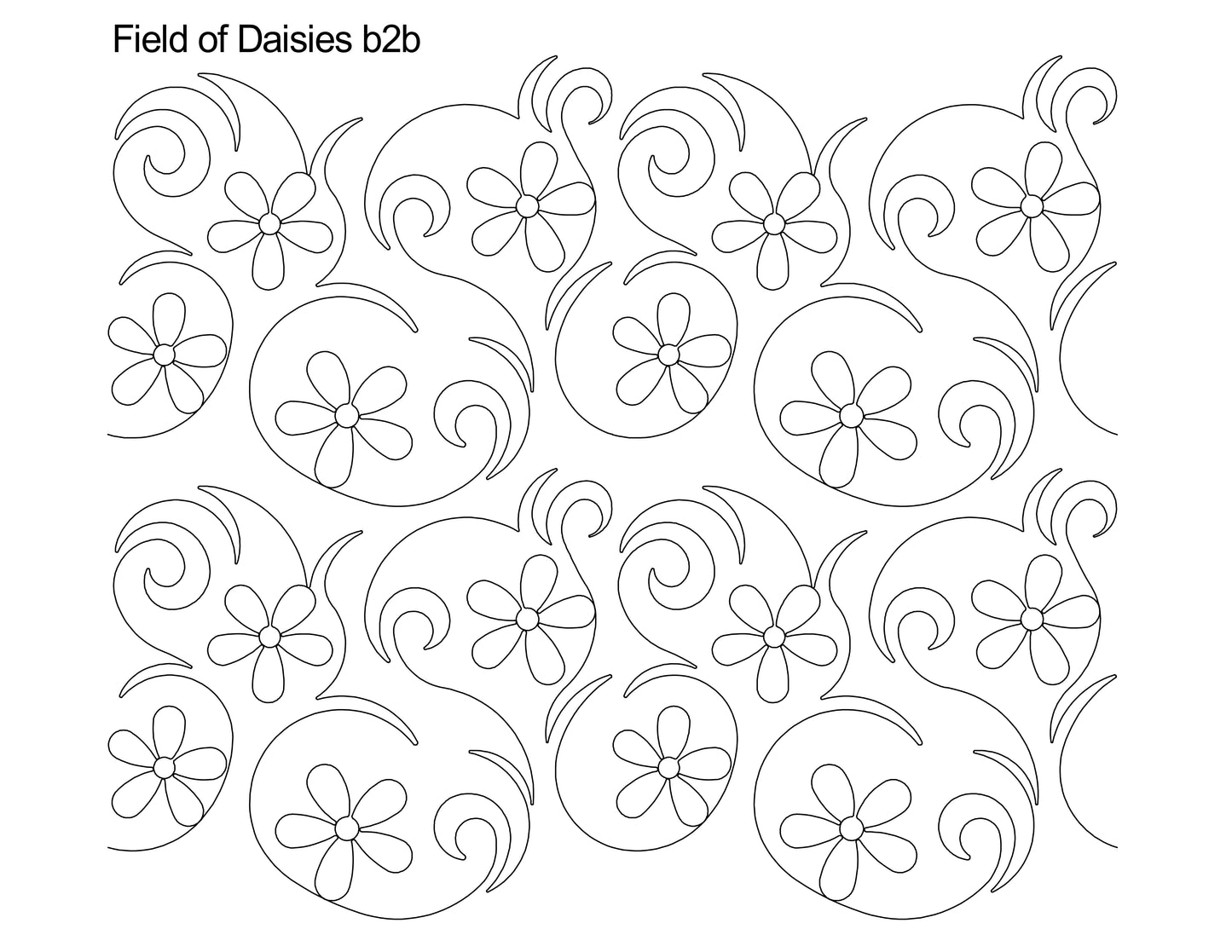 Field of Daisies b2b