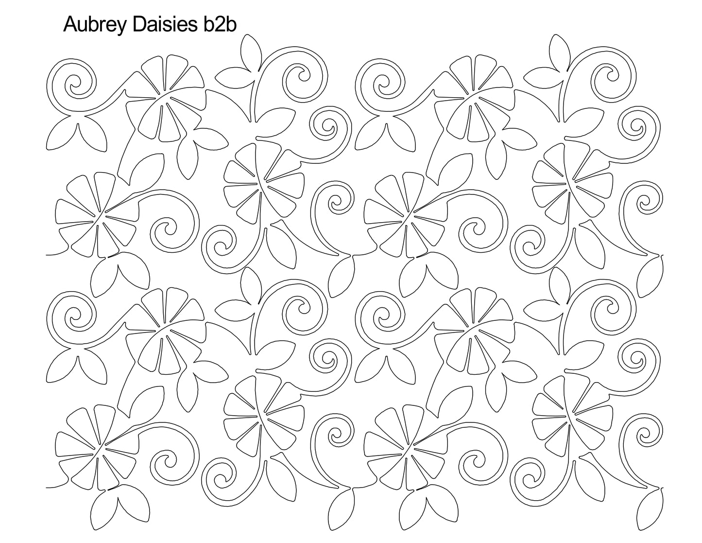Aubrey's Daisies b2b