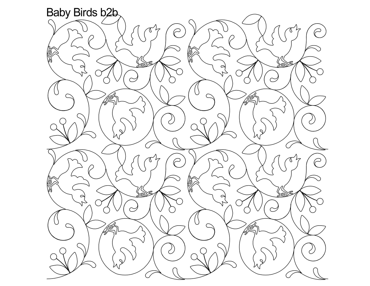 Baby Birds b2b