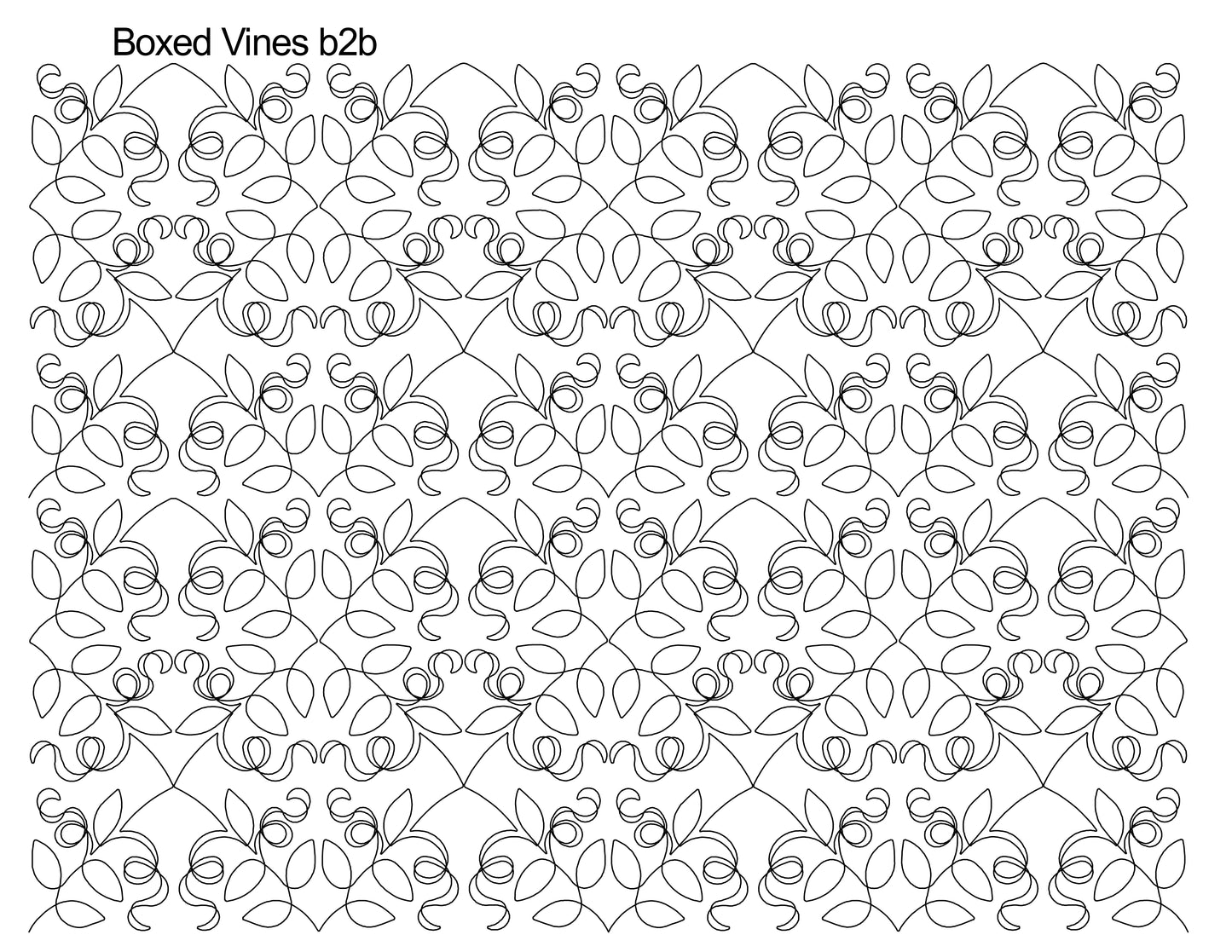 Boxed Vines b2b