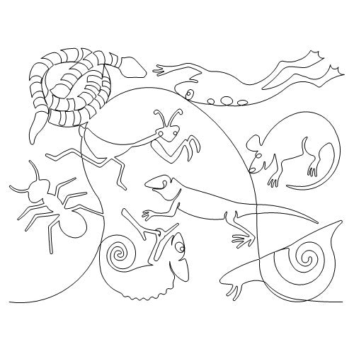 Bugs and Reptiles b2b