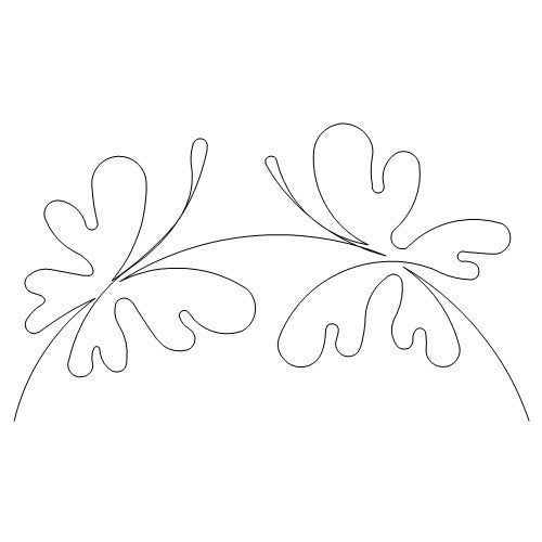 Butterflies Curves b2b