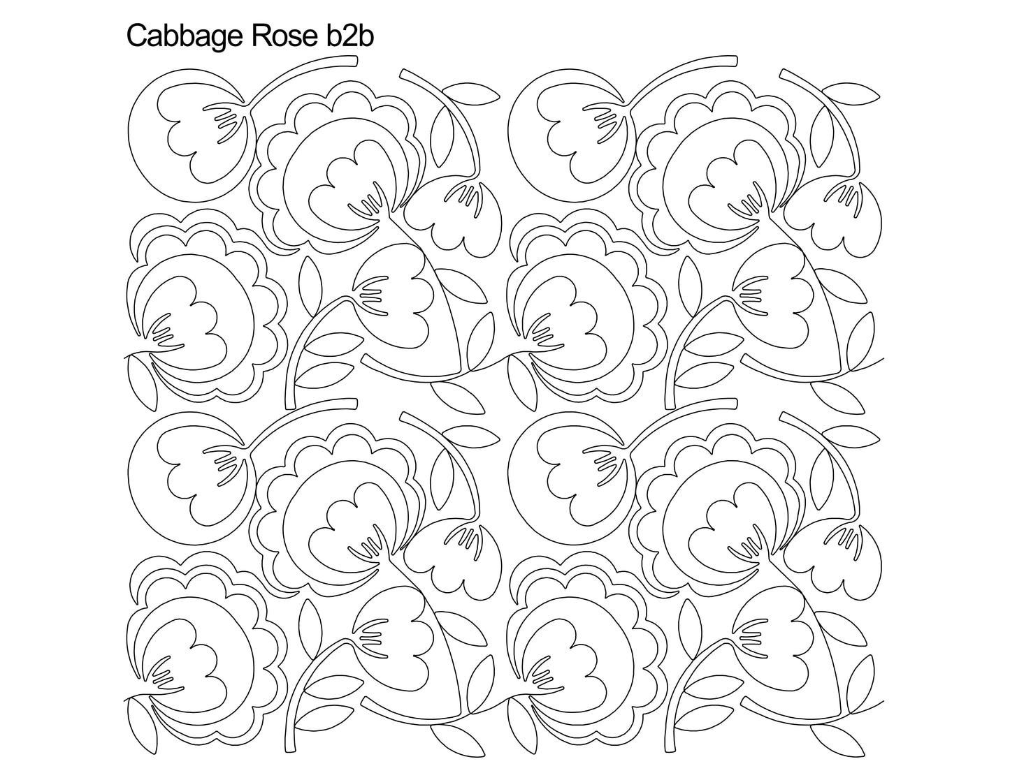 Cabbage Rose b2b