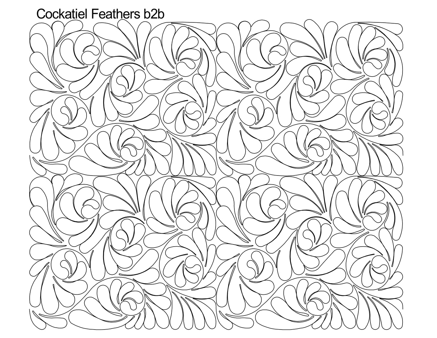 Cockatiel Feathers b2b