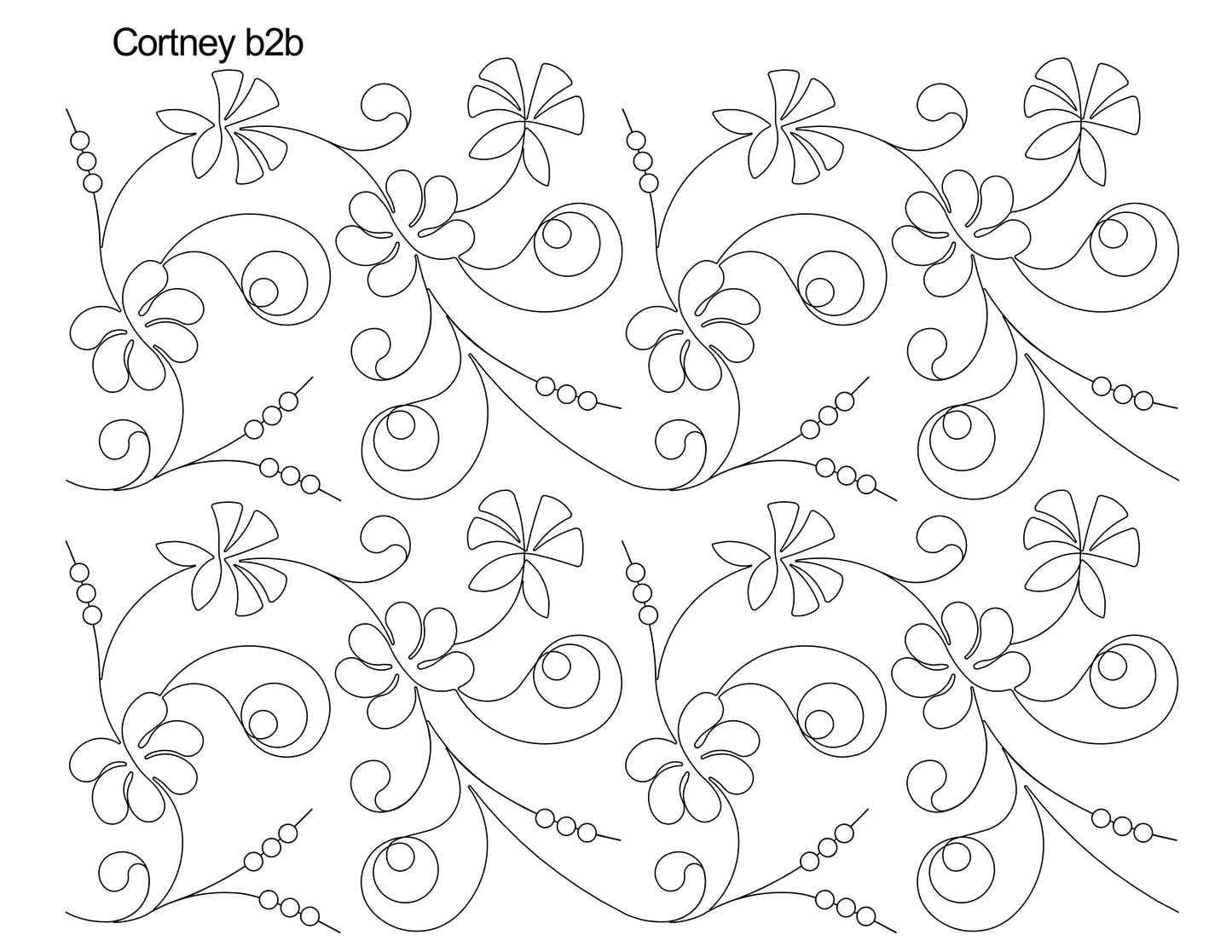 Cortney b2b