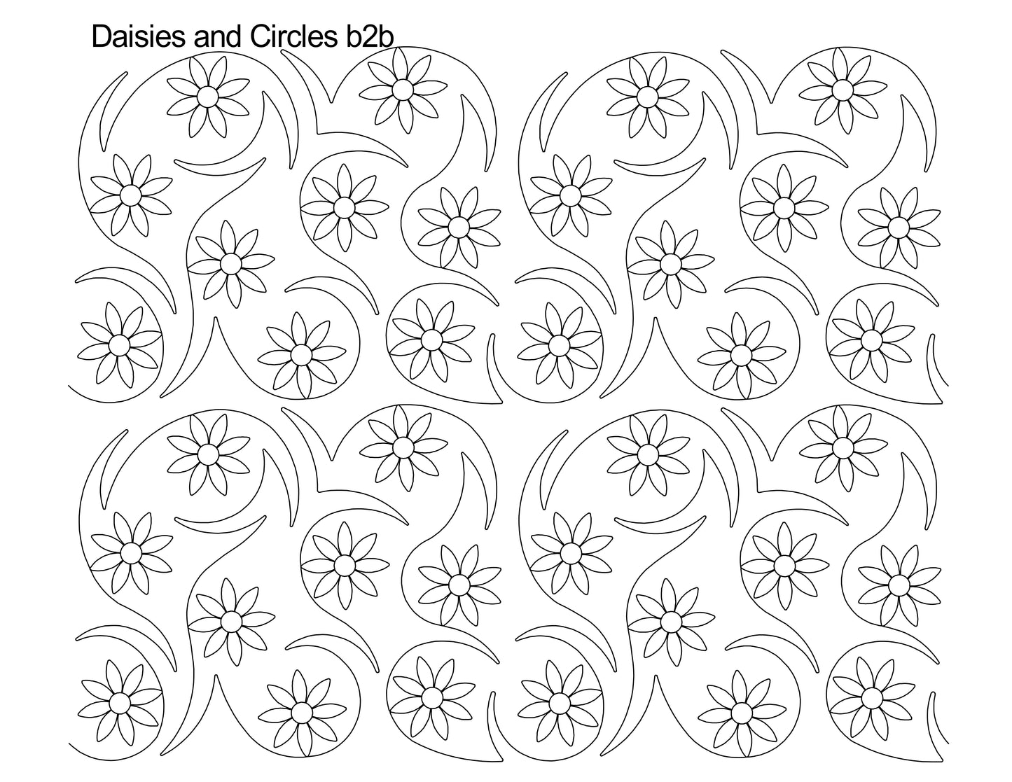 Daisies and Circles b2b