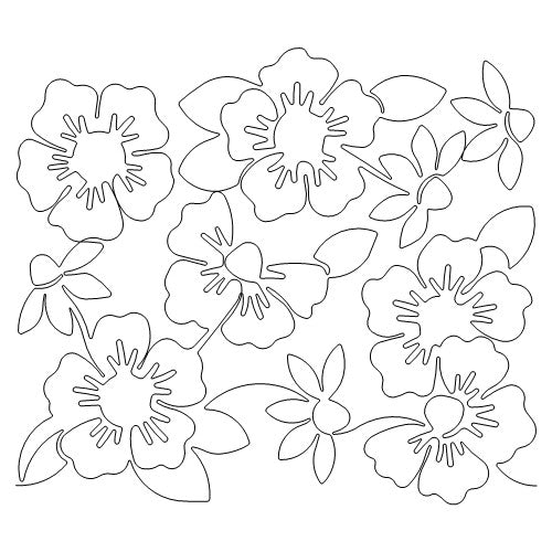 Daisies and Poppies b2b