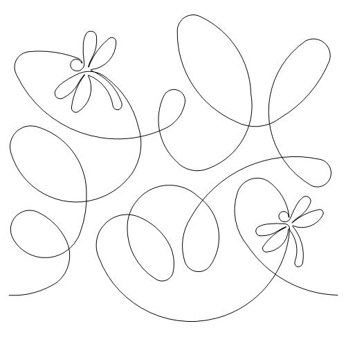 Dragonfly Trails b2b