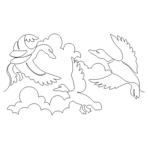 Ducks in Flight b2b