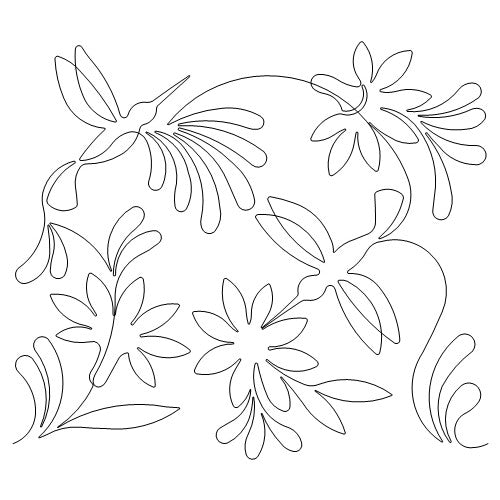 Hummingbird Feathers b2b