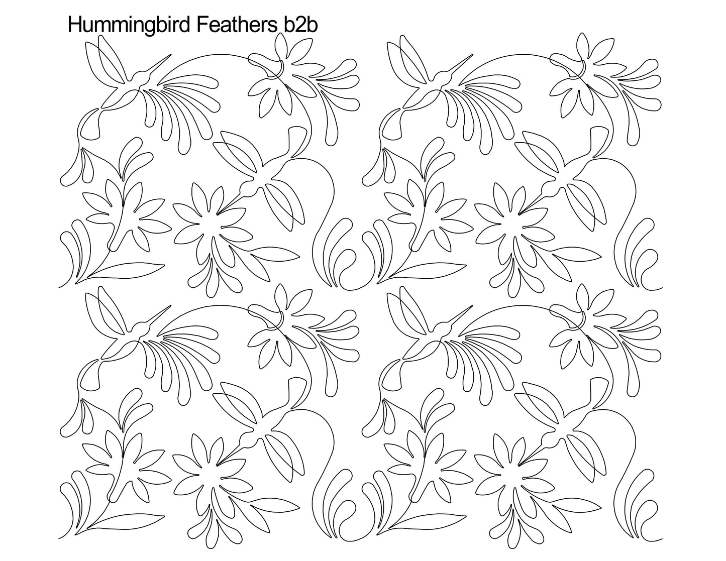 Hummingbird Feathers b2b