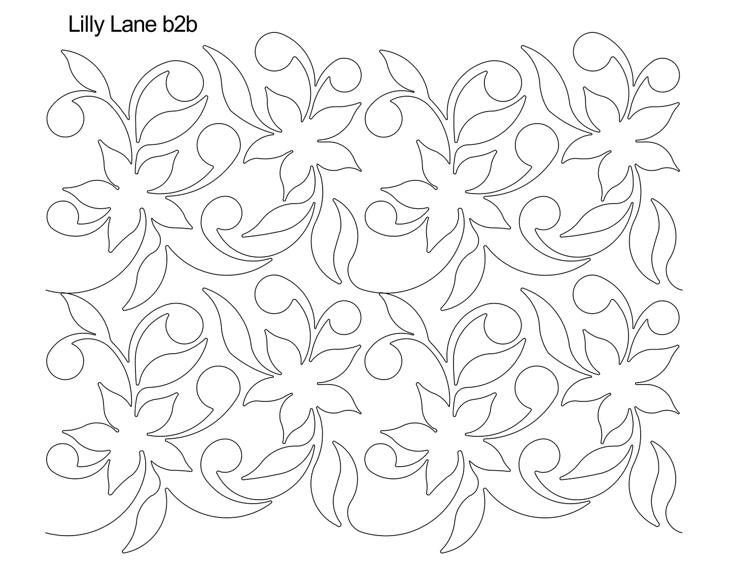Lilly Lane b2b